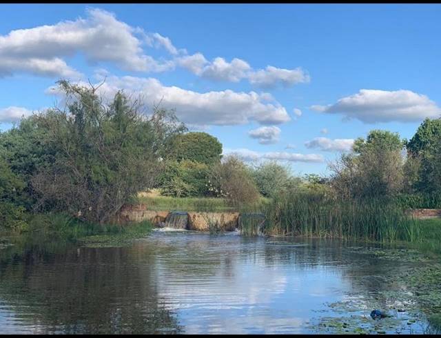 FARM FOR SALE IN STOFFBERG